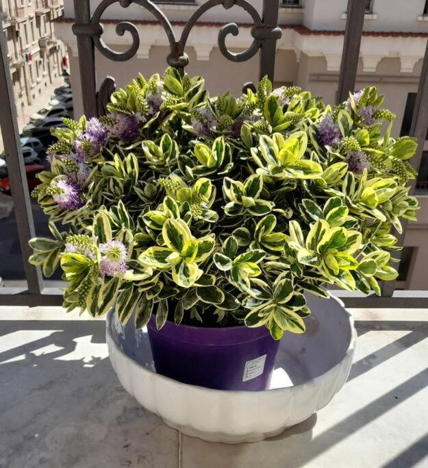 Casa Jole, Appartamento In Centro Bari Luaran gambar